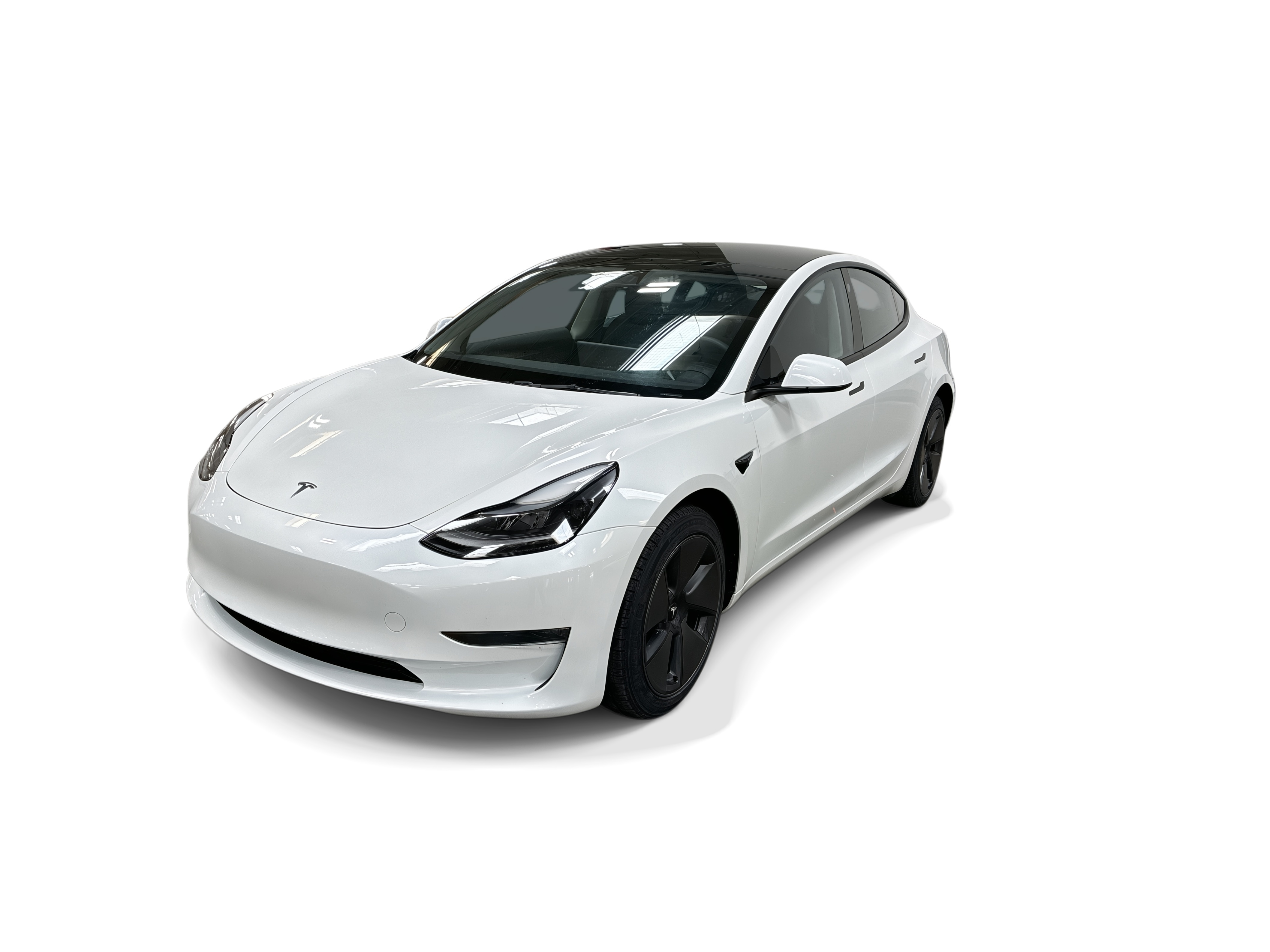tesla model 3 2023 5YJ3E1EA2PF619992 image tesla model 3 2023 5YJ3E1EA2PF619992 image